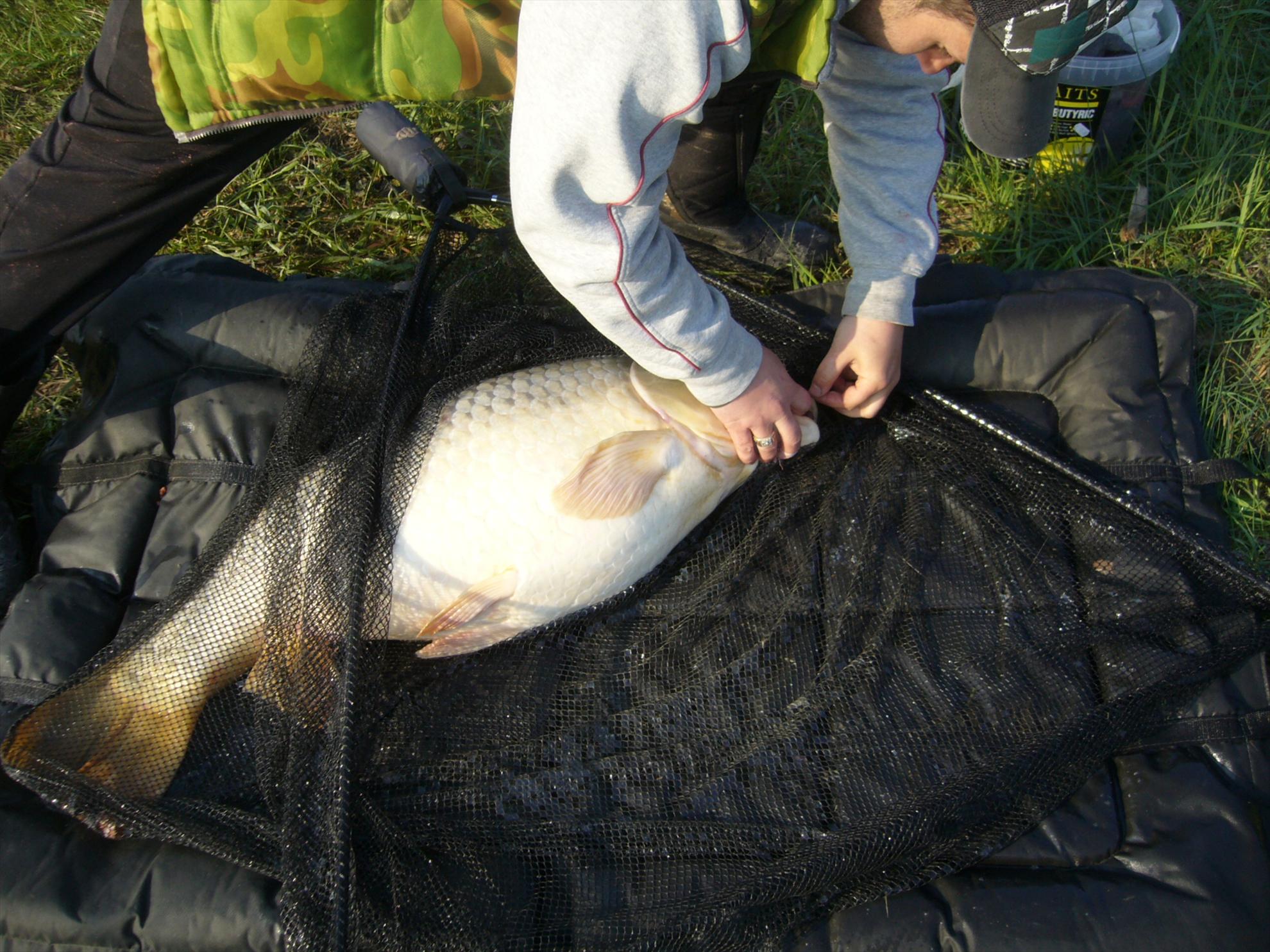 Horgesti 24-25.04.2013 - p1130957.JPG